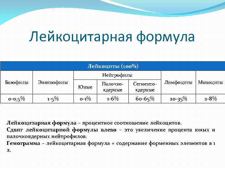 Гемоглобин лейкоцитарная формула