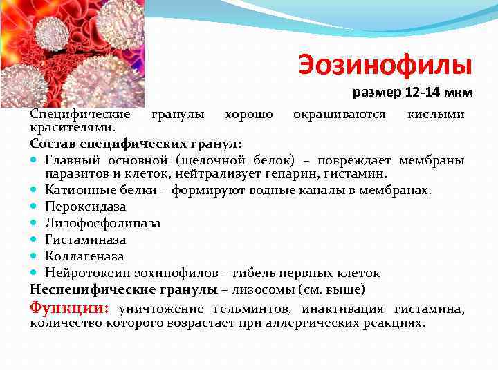 Эозинофилы в крови 4