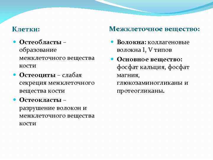 Клетки: Межклеточное вещество: Остеобласты – образование межклеточного вещества кости Остеоциты – слабая секреция межклеточного