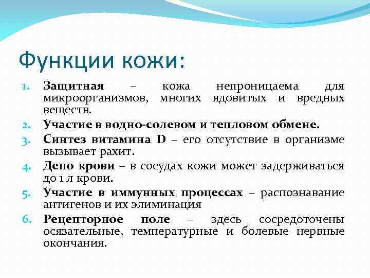 Функции кожи: 1. 2. 3. 4. 5. 6. Защитная – кожа непроницаема для микроорганизмов,