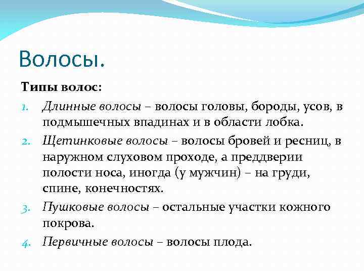 Волосы. Типы волос: 1. Длинные волосы – волосы головы, бороды, усов, в подмышечных впадинах