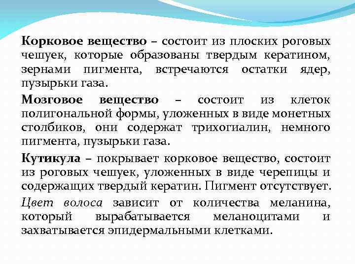 Корковое вещество – состоит из плоских роговых чешуек, которые образованы твердым кератином, зернами пигмента,