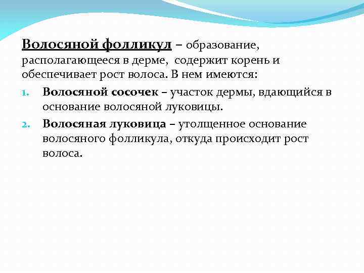 Волосяной фолликул – образование, располагающееся в дерме, содержит корень и обеспечивает рост волоса. В