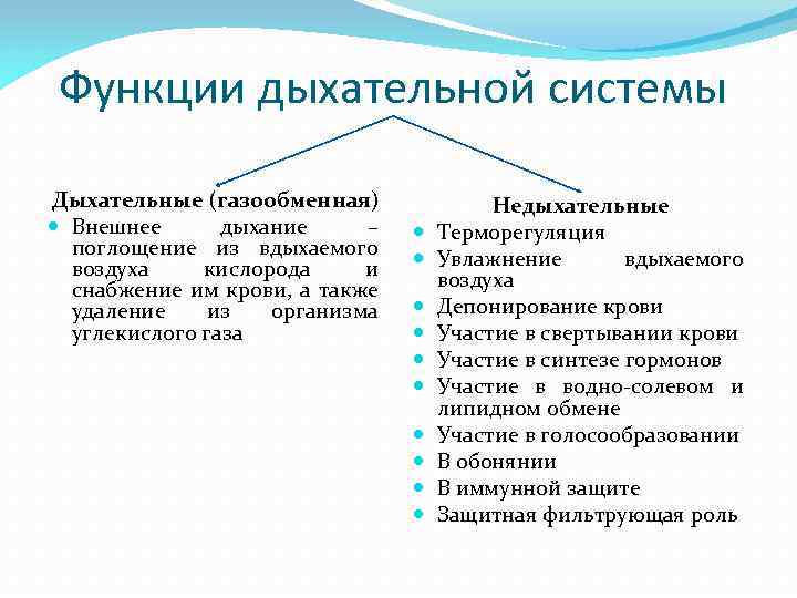 3 функции дыхания. Основные функции органов дыхания. Функции дыхательной системы человека кратко. Функции дыхательной сисет. Недыхательные функции дыхательной системы.