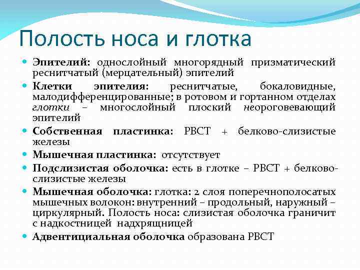 Полость носа и глотка Эпителий: однослойный многорядный призматический реснитчатый (мерцательный) эпителий Клетки эпителия: реснитчатые,