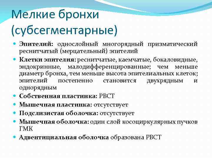 Мелкие бронхи (субсегментарные) Эпителий: однослойный многорядный призматический реснитчатый (мерцательный) эпителий Клетки эпителия: реснитчатые, каемчатые,