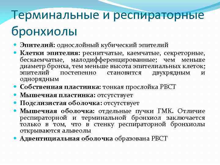 Терминальные и респираторные бронхиолы Эпителий: однослойный кубический эпителий Клетки эпителия: реснитчатые, каемчатые, секреторные, бескаемчатые,
