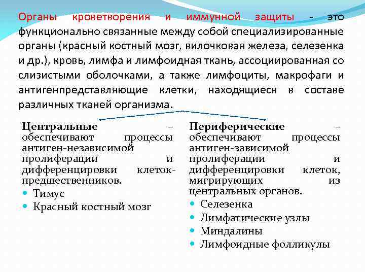 Органы кроветворения и иммунной защиты - это функционально связанные между собой специализированные органы (красный
