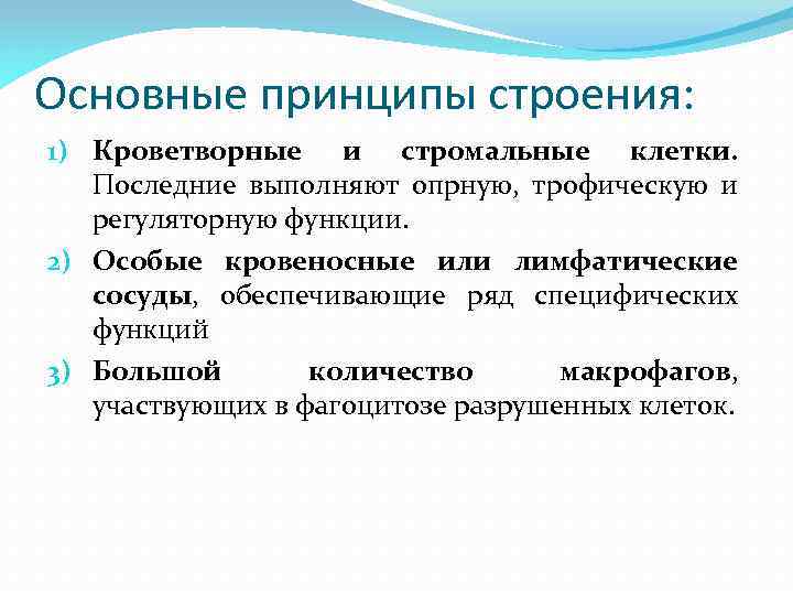 Основные принципы строения: 1) Кроветворные и стромальные клетки. Последние выполняют опрную, трофическую и регуляторную