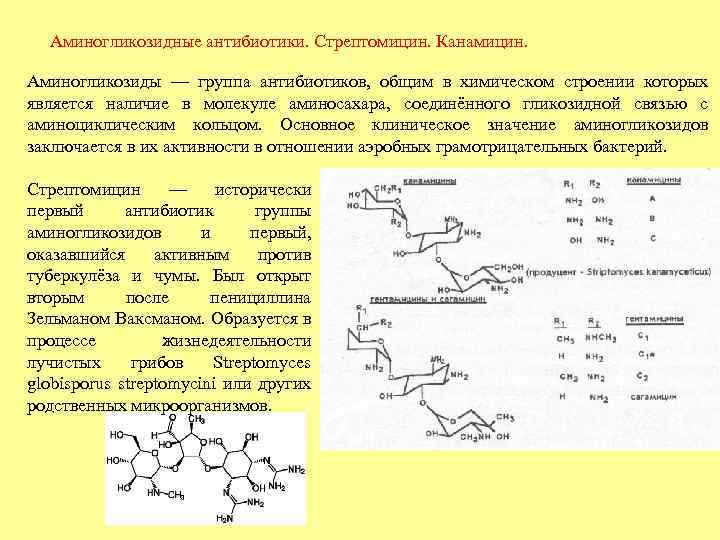 Аминогликозидные антибиотики. Стрептомицин. Канамицин. Аминогликозиды — группа антибиотиков, общим в химическом строении которых является