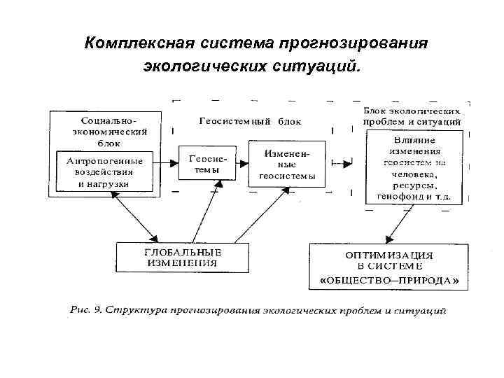 Комплексная система прогнозирования экологических ситуаций. 