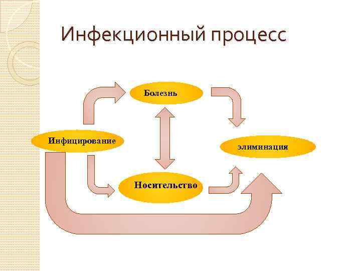 Инфекционный процесс