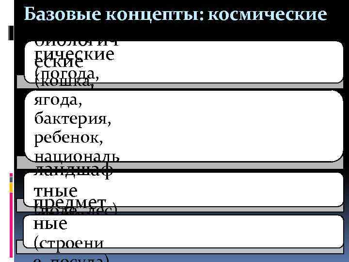 Базовые концепты: космические метеороло биологич гические (погода, (кошка, осадки) ягода, бактерия, ребенок, националь ландшаф