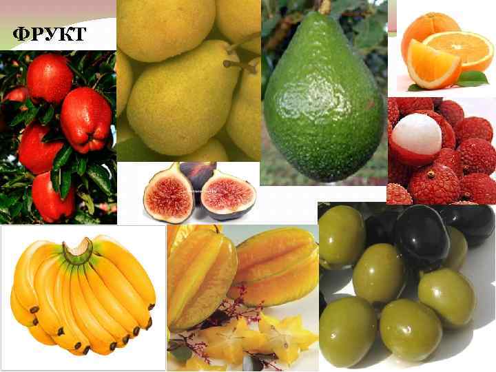ФРУКТ 