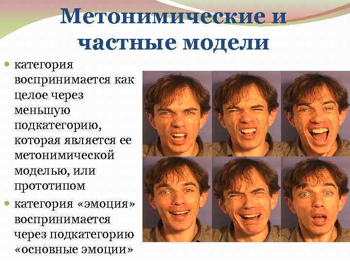 Метонимические и частные модели категория воспринимается как целое через меньшую подкатегорию, которая является ее