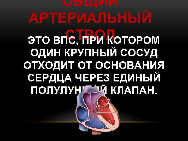 ОБЩИЙ АРТЕРИАЛЬНЫЙ СТВОЛ ЭТО ВПС, ПРИ КОТОРОМ ОДИН КРУПНЫЙ СОСУД ОТХОДИТ ОТ ОСНОВАНИЯ СЕРДЦА