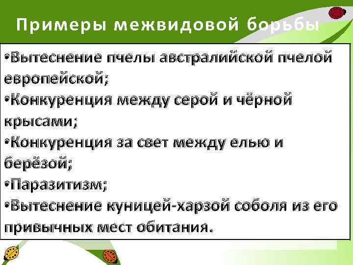Примеры межвидовой борьбы • Вытеснение пчелы австралийской пчелой европейской; • Конкуренция между серой и
