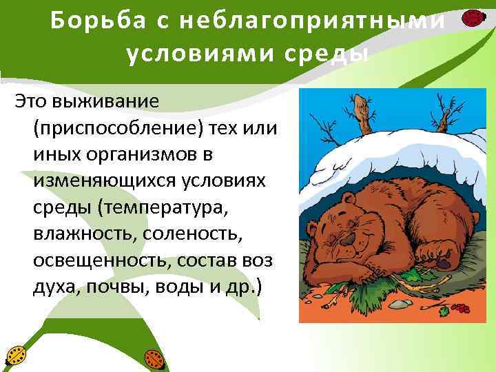 Борьба с неблагоприятными условиями среды Это выживание (приспособление) тех или иных организмов в изменяющихся