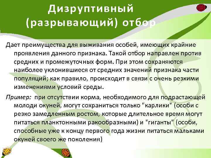 Дизруптивный (разрывающий) отбор Дает преимущества для выживания особей, имеющих крайние проявления данного признака. Такой
