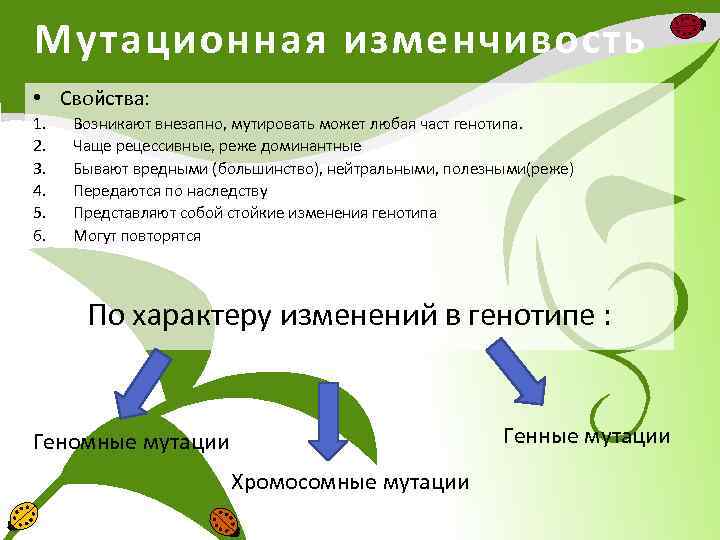 Движущие силы изменчивость. Характеристика мутационной изменчивости. Свойства мутационной изменчивости. Движущие силы эволюции мутационная изменчивость. Эволюционное значение мутационной изменчивости.