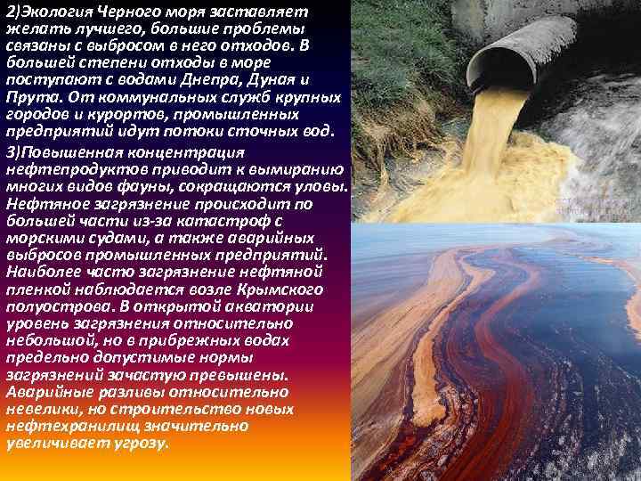 2)Экология Черного моря заставляет желать лучшего, большие проблемы связаны с выбросом в него отходов.