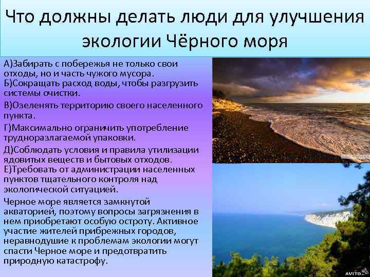 Что должны делать люди для улучшения экологии Чёрного моря А)Забирать с побережья не только