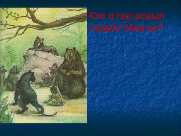 Кто и где решал судьбу Маугли? 