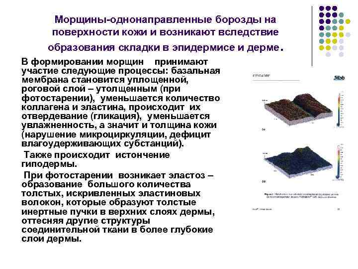 Морщины-однонаправленные борозды на поверхности кожи и возникают вследствие образования складки в эпидермисе и дерме.