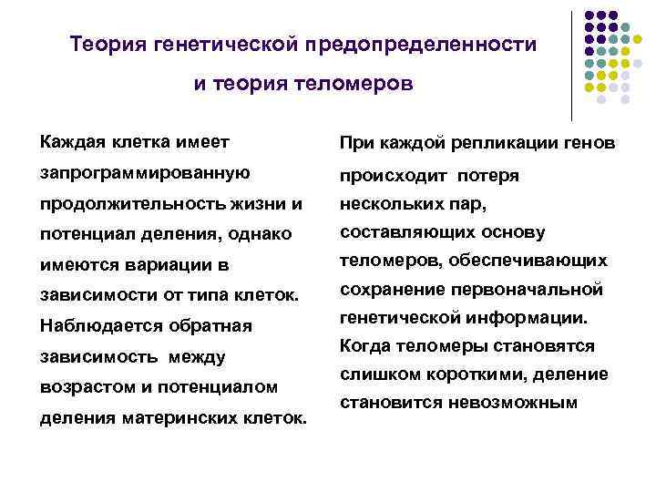 Теория генетической предопределенности и теория теломеров Каждая клетка имеет При каждой репликации генов запрограммированную