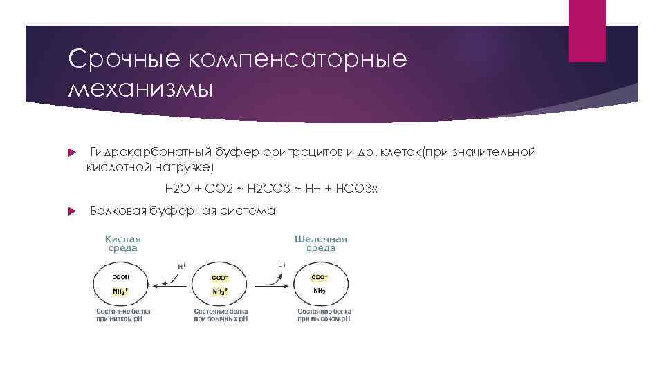 Срочные компенсаторные механизмы Гидрокарбонатный буфер эритроцитов и др. клеток(при значительной кислотной нагрузке) H 2