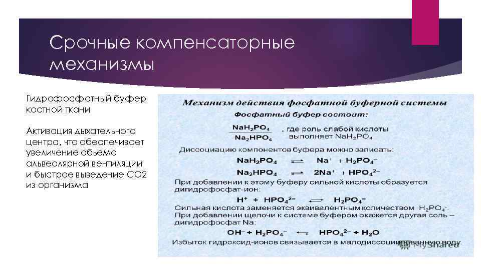 Срочные компенсаторные механизмы Гидрофосфатный буфер костной ткани Активация дыхательного центра, что обеспечивает увеличение обьема