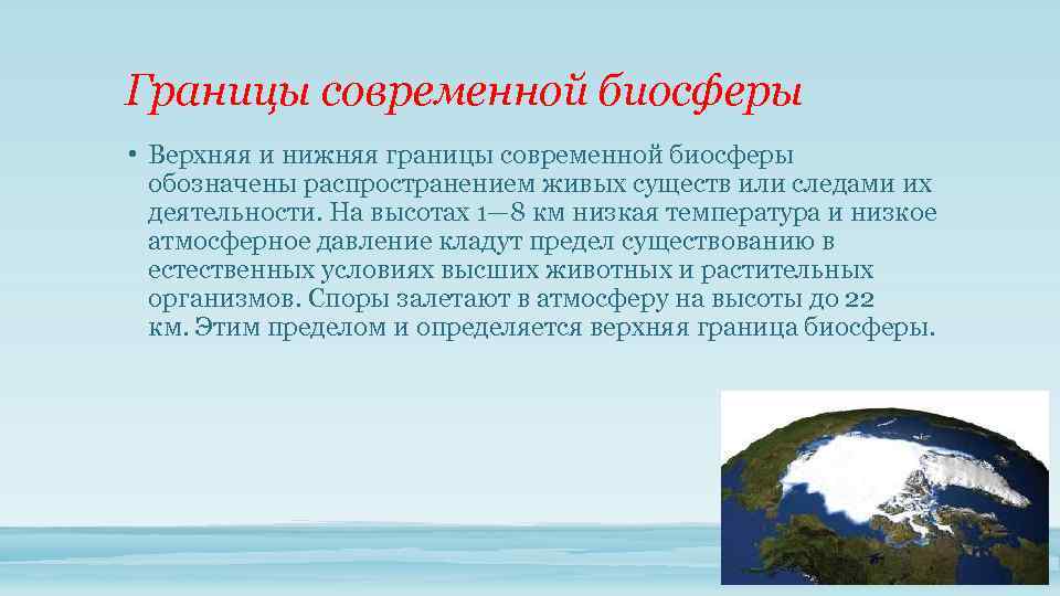 Границы современной биосферы • Верхняя и нижняя границы современной биосферы обозначены распространением живых существ