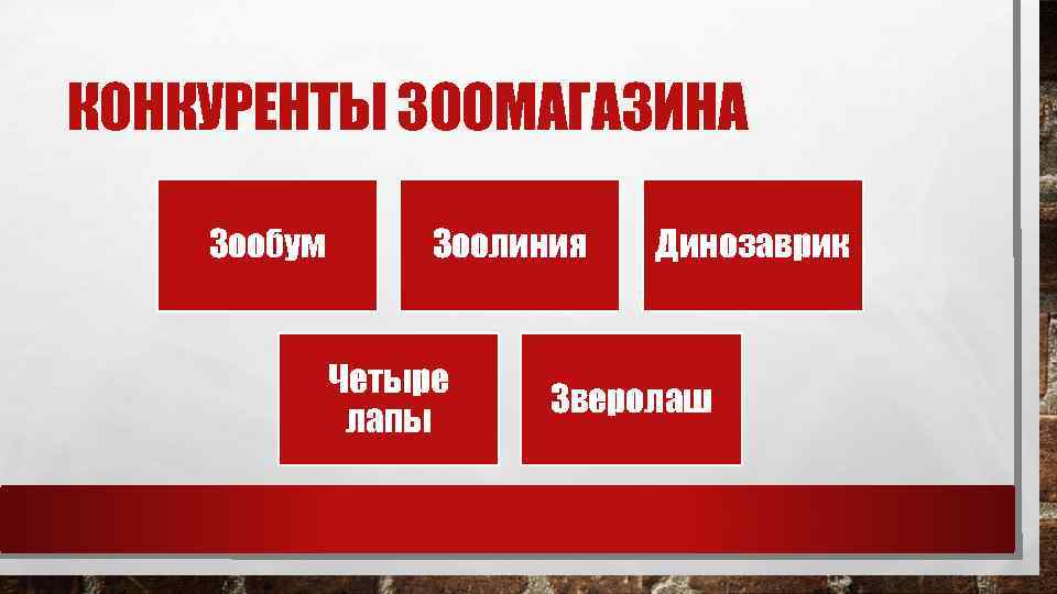 КОНКУРЕНТЫ ЗООМАГАЗИНА Зообум Зоолиния Четыре лапы Динозаврик Зверолаш 
