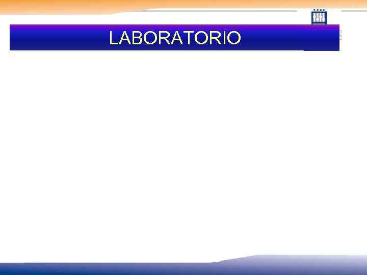 LABORATORIO 