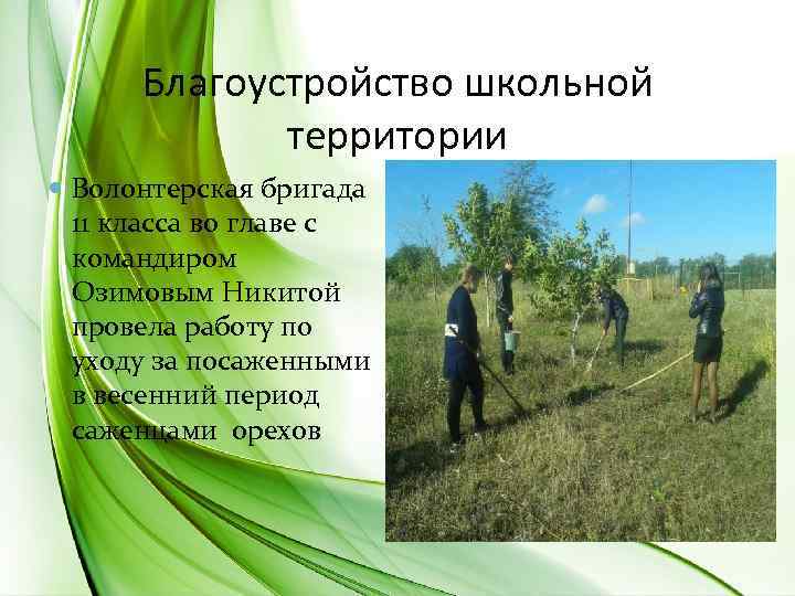 Благоустройство школьной территории Волонтерская бригада 11 класса во главе с командиром Озимовым Никитой провела