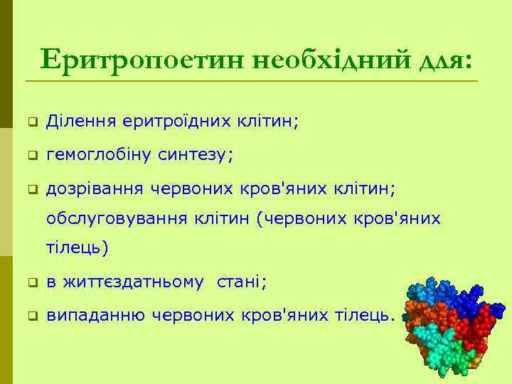 Еритропоетин необхідний для: q Ділення еритроїдних клітин; q гемоглобіну синтезу; q дозрівання червоних кров'яних