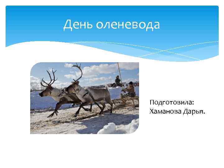 День оленевода Подготовила: Хаманова Дарья. 