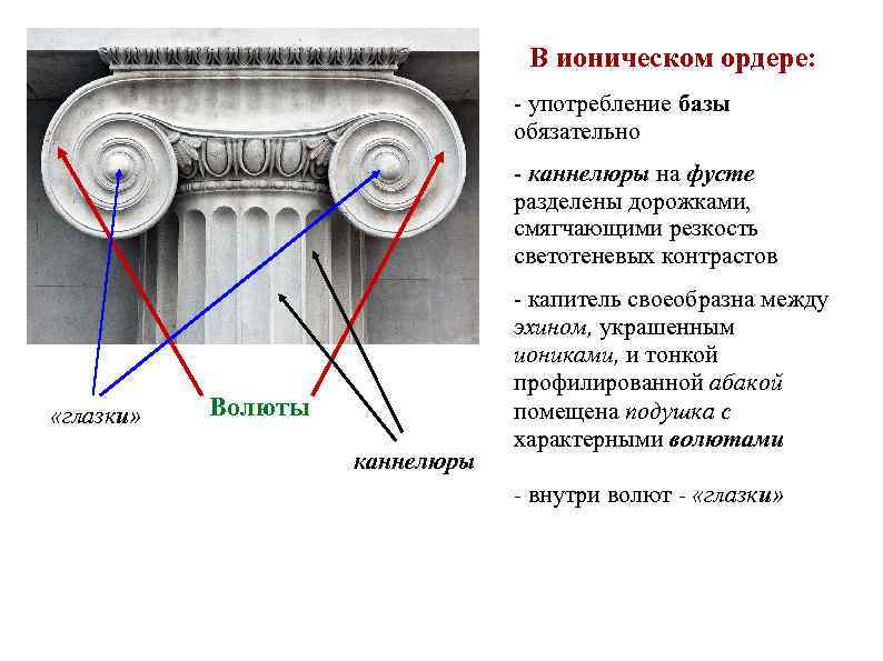В ионическом ордере: - употребление базы обязательно - каннелюры на фусте разделены дорожками, смягчающими