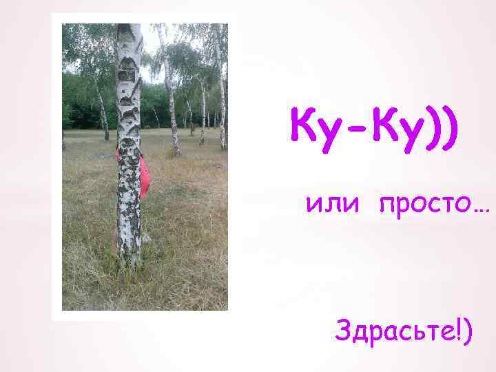 Куку ты где картинки