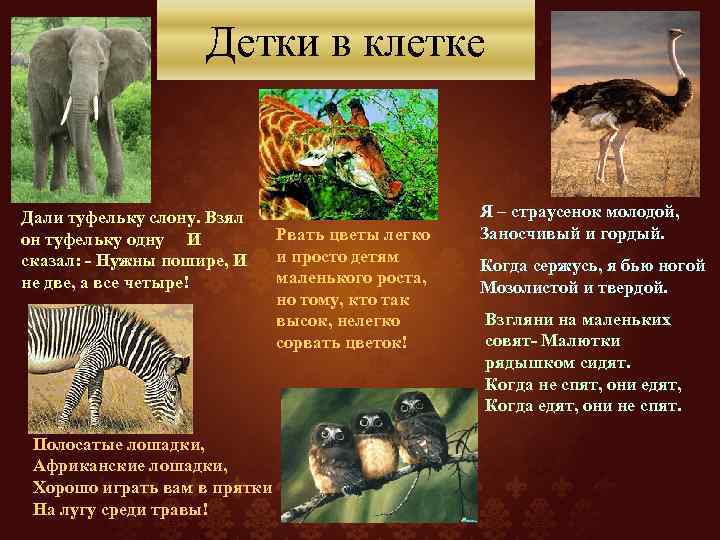 Детки в клетке Дали туфельку слону. Взял он туфельку одну И сказал: - Нужны