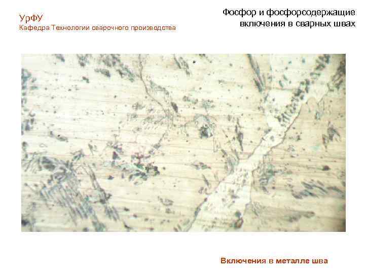 Ур. ФУ Кафедра Технологии сварочного производства Фосфор и фосфорсодержащие включения в сварных швах Включения