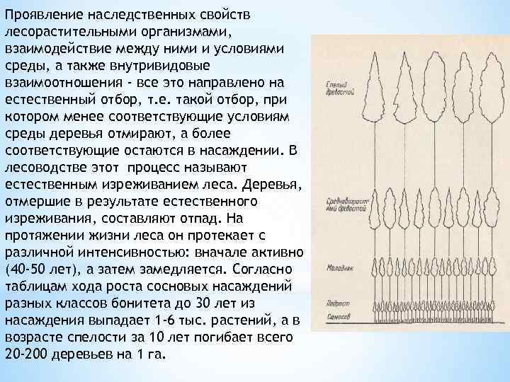 Наследственные свойства