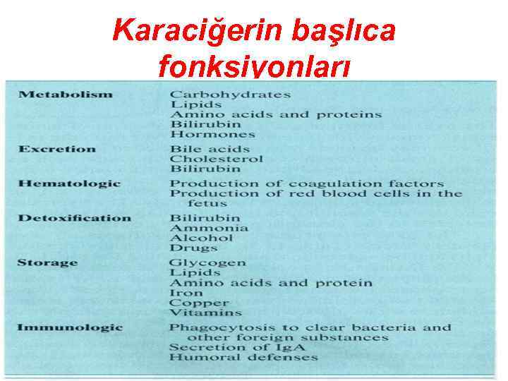 Karaciğerin başlıca fonksiyonları 13 