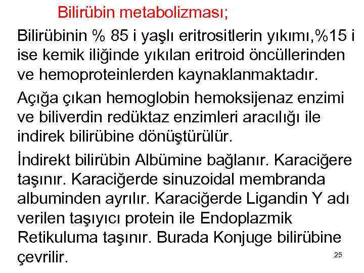  Bilirübin metabolizması; Bilirübinin % 85 i yaşlı eritrositlerin yıkımı, %15 i ise kemik