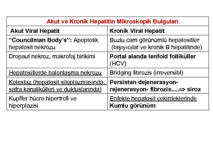 Akut ve Kronik Hepatitin Mikroskopik Bulguları Akut Viral Hepatit Kronik Viral Hepatit “Councilman Body’s”: