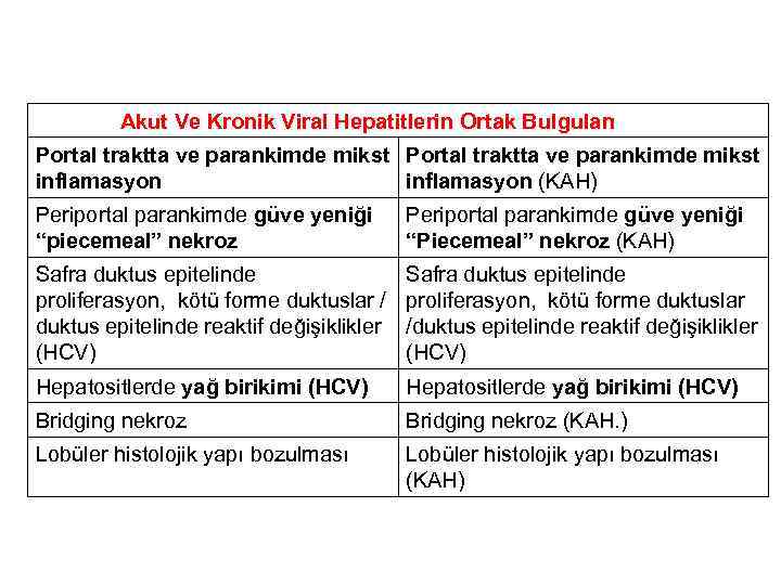 Akut Ve Kronik Viral Hepatitlerin Ortak Bulguları Portal traktta ve parankimde mikst inflamasyon (KAH)