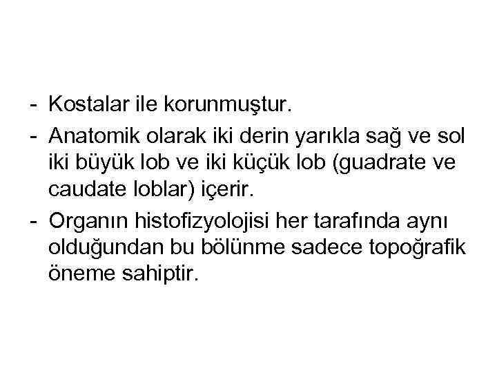 - Kostalar ile korunmuştur. - Anatomik olarak iki derin yarıkla sağ ve sol iki