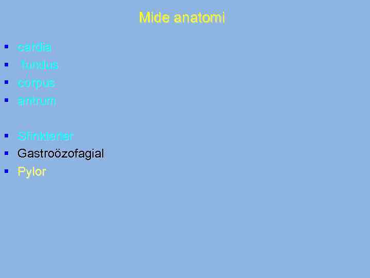 Mide anatomi § § cardia fundus corpus antrum § § § Sfinkterler Gastroözofagial Pylor