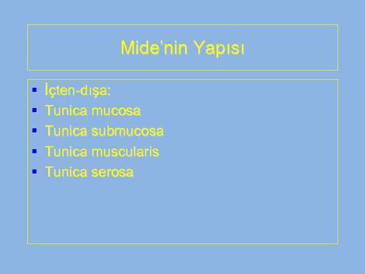 Mide’nin Yapısı § § § İçten-dışa: Tunica mucosa Tunica submucosa Tunica muscularis Tunica serosa