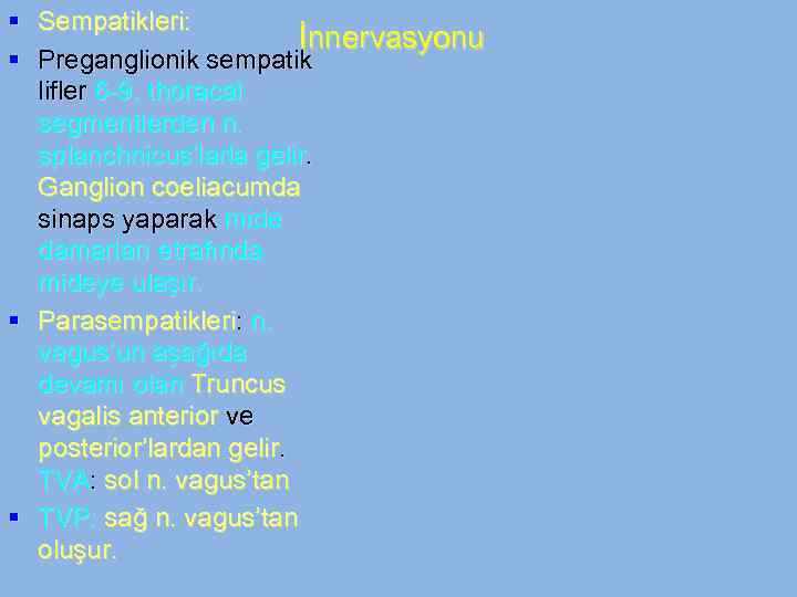 § Sempatikleri: İnnervasyonu § Preganglionik sempatik lifler 6 -9. thoracal segmentlerden n. splanchnicus’larla gelir.